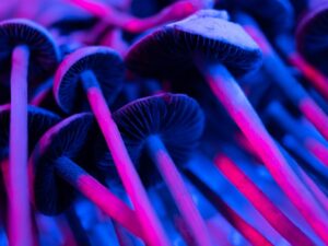 Psykedelisk medisin i behandling av psykiske lidelser: Nyeste forskning